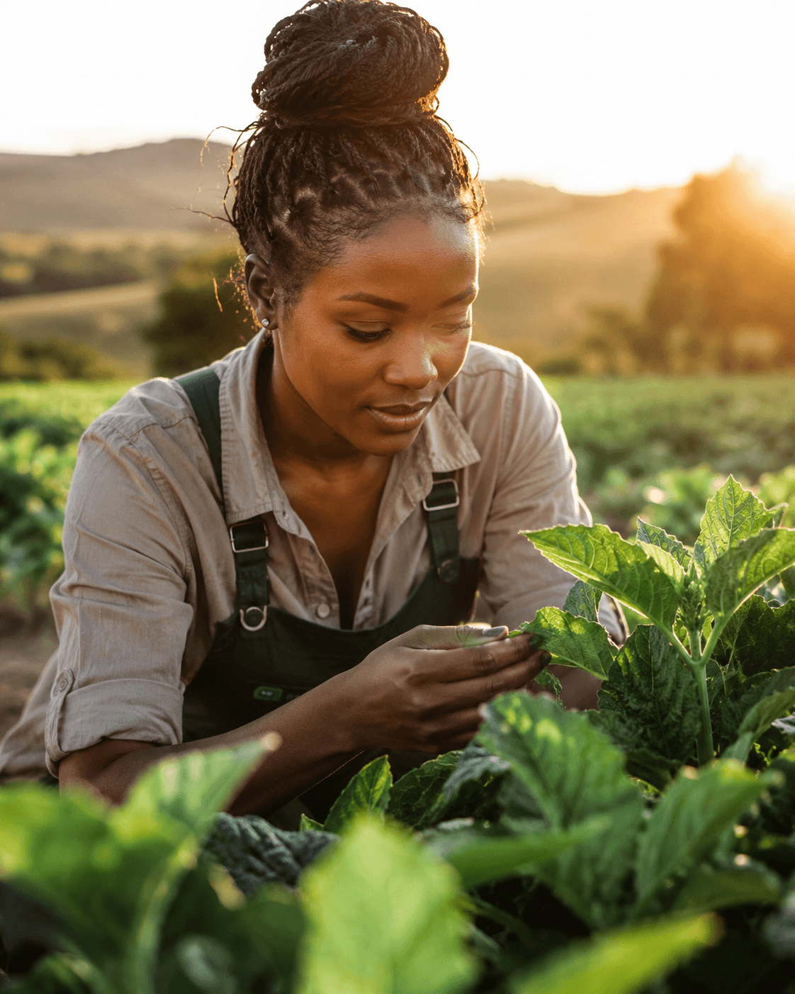 Farmer in field